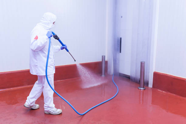 Professional Pressure Washing in Navesink, NJ